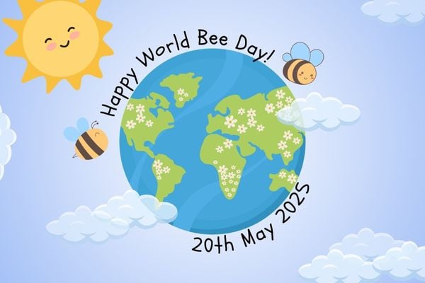 Bees Keep the World Blooming: Here’s Why That’s such a Big Deal