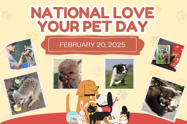 Celebrate National Love Your Pet Day With An Exciting Animal Experience!