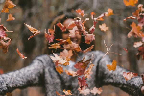 Fall Into Autumn with the Best Experience Days
