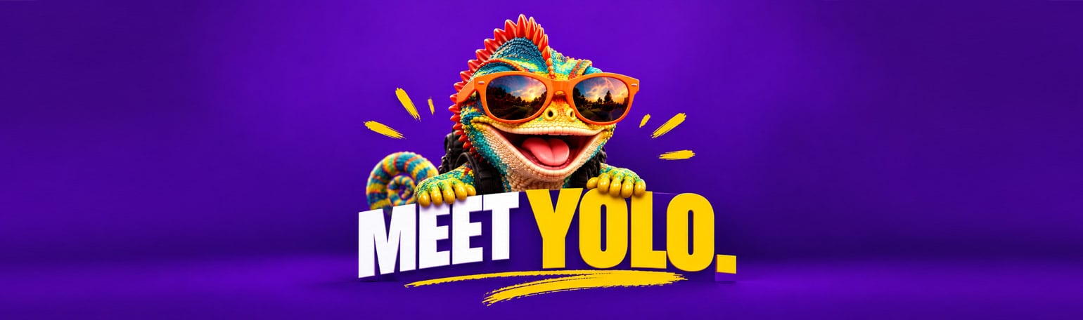 Meet YOLO: Your New Guide to Extraordinary Experiences