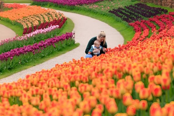 The Best British Gardens for National Public Gardens Day