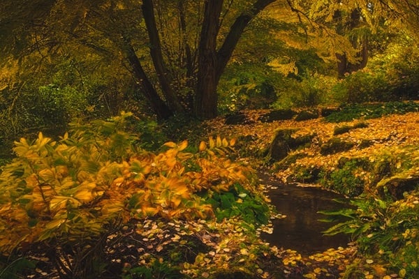 What are the best outdoor experiences for autumn?