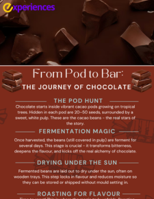 The Journey of Chocolate From Bean to Bar in Simple Steps