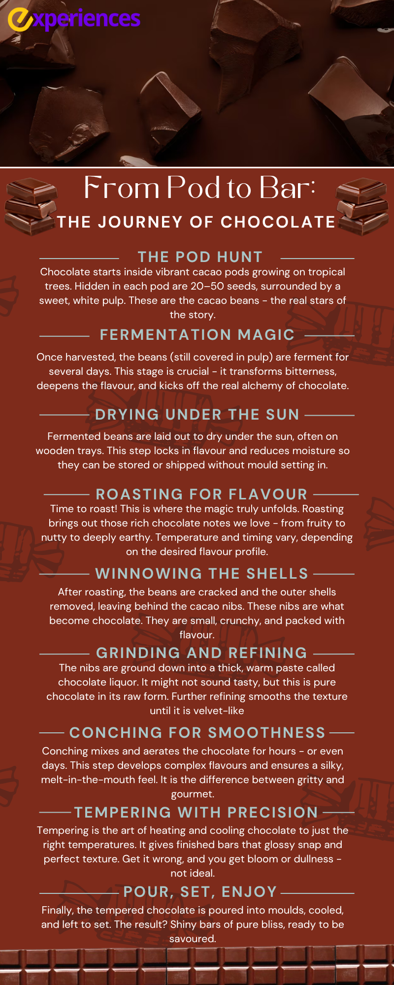 The Journey of Chocolate From Bean to Bar in Simple Steps
