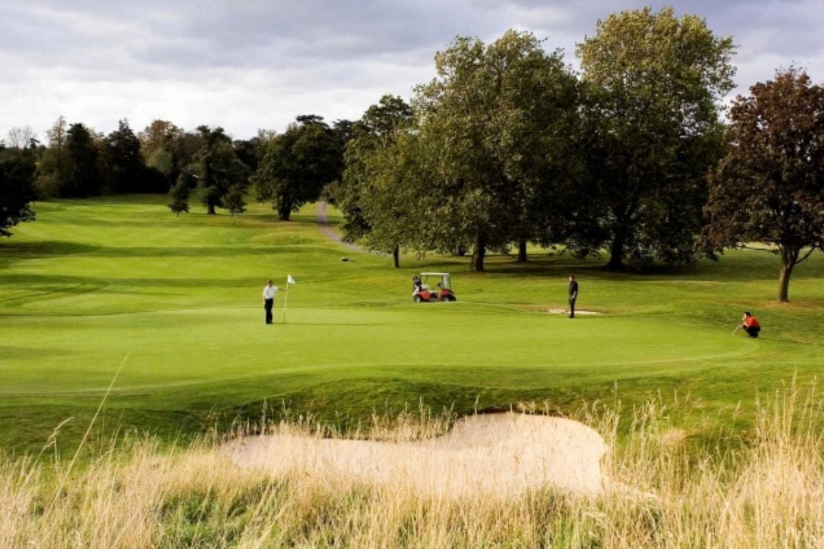 18 Hole Golf Lesson with PGA Professional in Hertfordshire for 3