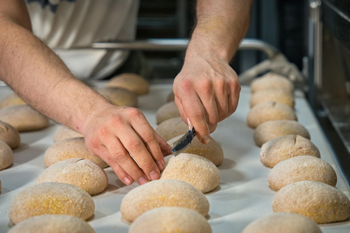 3 Hour Cheese and Bread Making Class OFFER