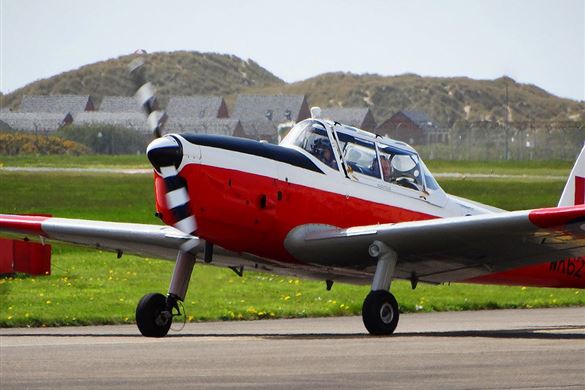60-Minute Chipmunk Experience