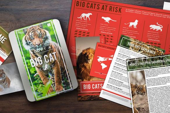 Adopt a Big Cat