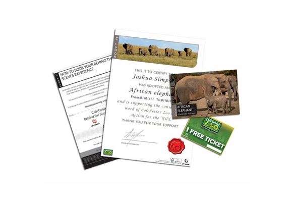 Adopt an Elephant