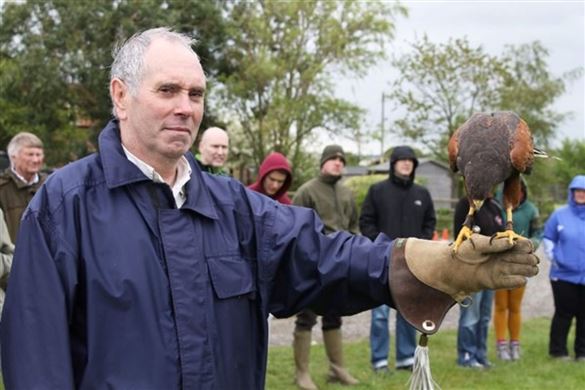 Falconry Experience - Adult