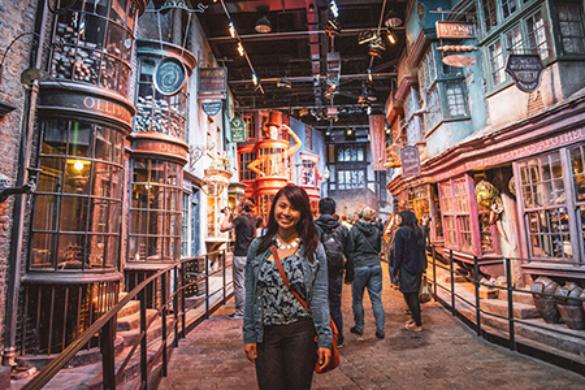 Adult Warner Bros Studio Tour Travel (Peak)