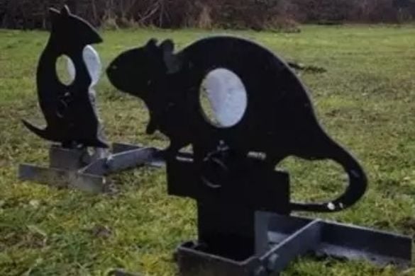 Air Rifle or Pistol Shooting Session for Two - Hertfordshire