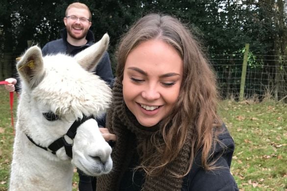 Alpaca Experience for 2 in Warwickshire