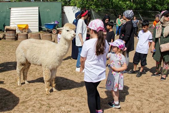 Animal Encounter Experience