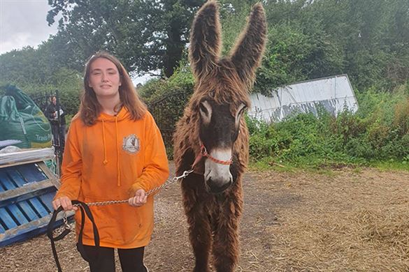 Animal Encounter Experience
