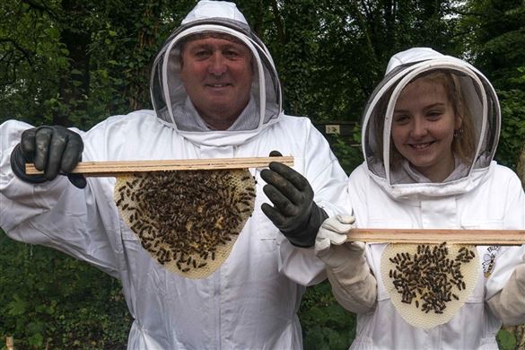 Honeybee Experience in Lancashire