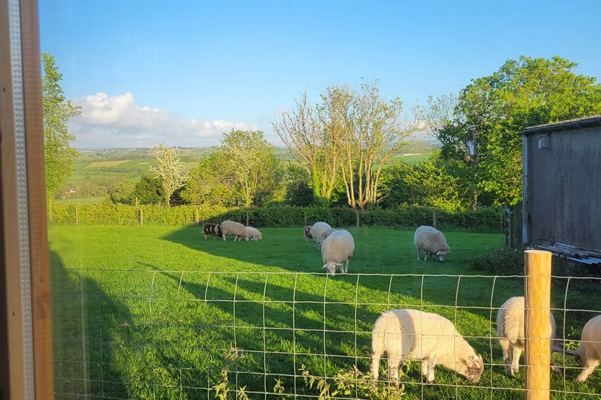Beehouse Sanctuary Wellness Experience for One