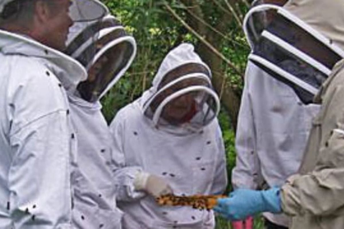 Beekeeping Experience in Shropshire