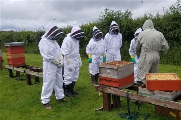 Two Hour Beekeeping Experience - Devon