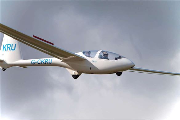 Bronze Essex Gliding Flight