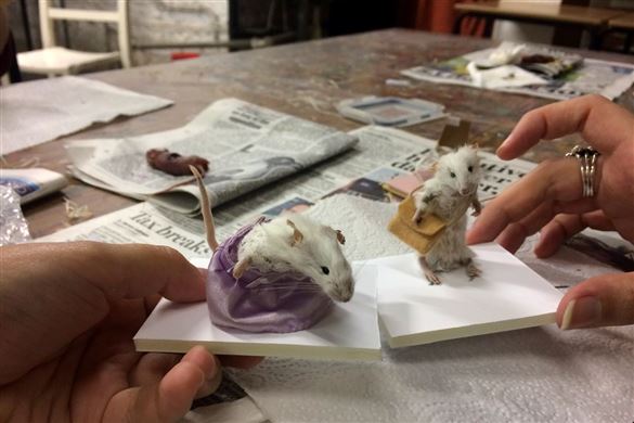 Taxidermy Classes - Bronze Workshop