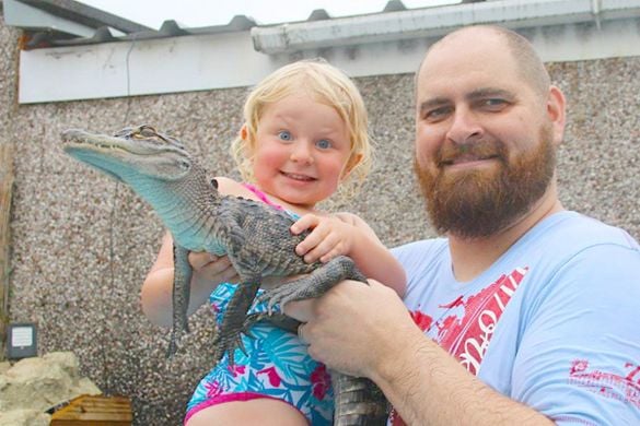 Crocodile Keeper for a Day - Bristol