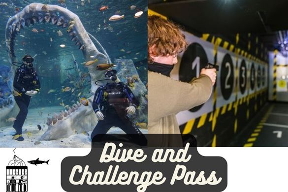 Dive and Challenge Pass