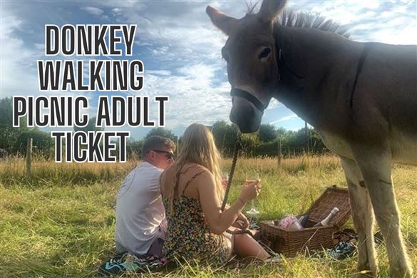 Donkey Walking Picnic Adult Ticket