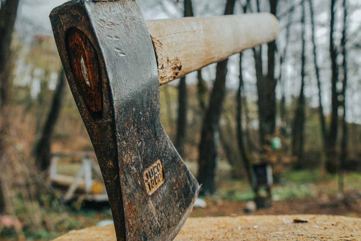 Double Target Activity Package for Two in Hazlewood