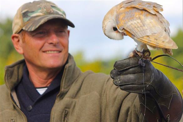 One Hour Falconry Experience - Essex