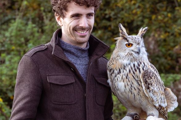 Falconry Experience - North Somerset