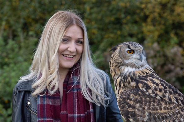 Falconry Experience - North Somerset