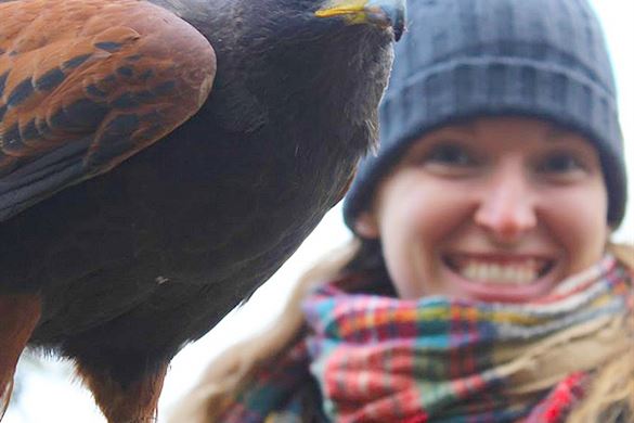 Falconry for Two in Staffordshire