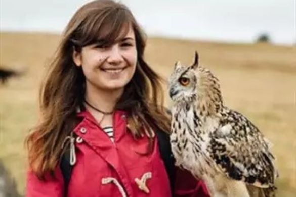 Hawk Experience For Two - Halifax