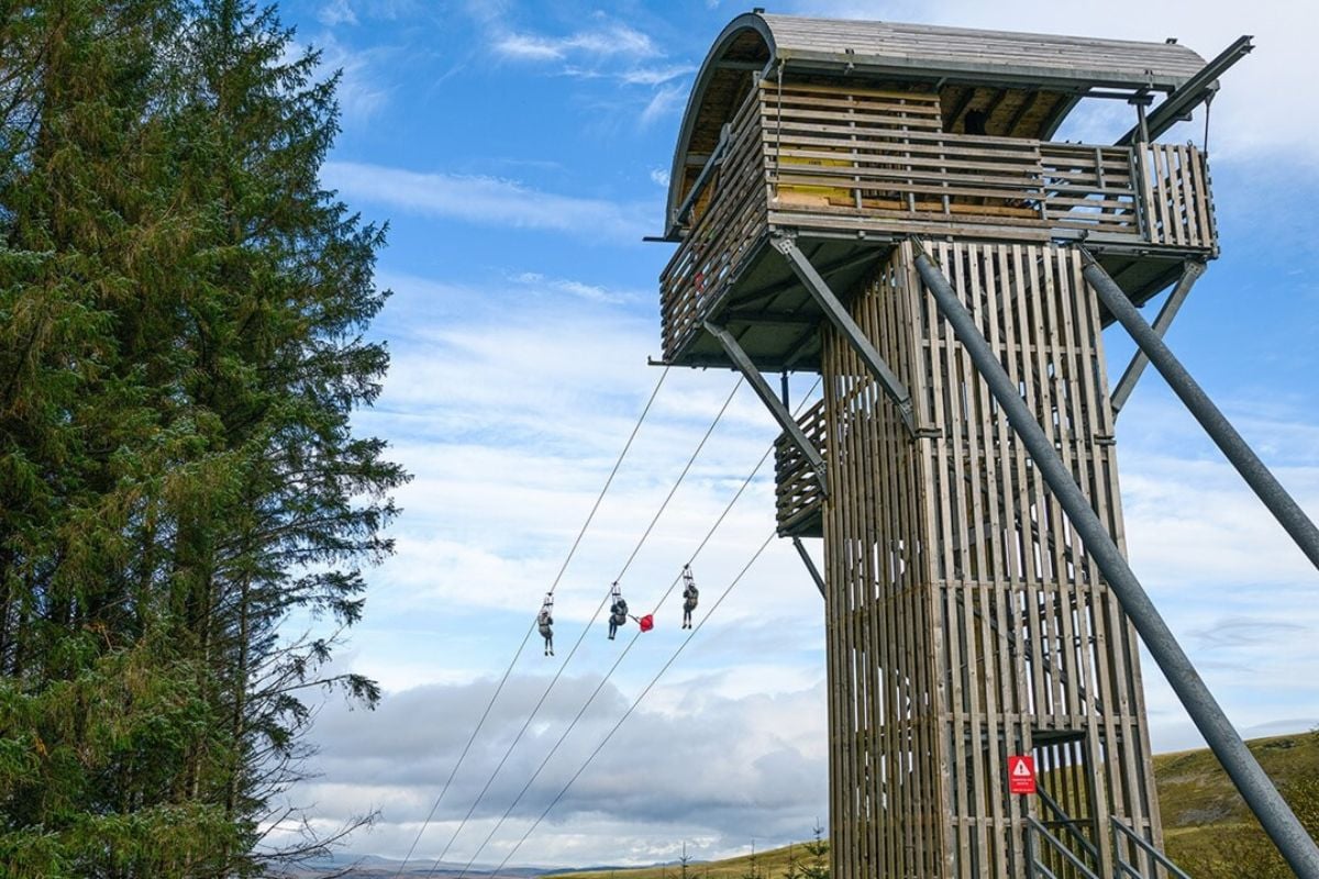 'Fly the Phoenix' at Zip World in Aberdare for Two