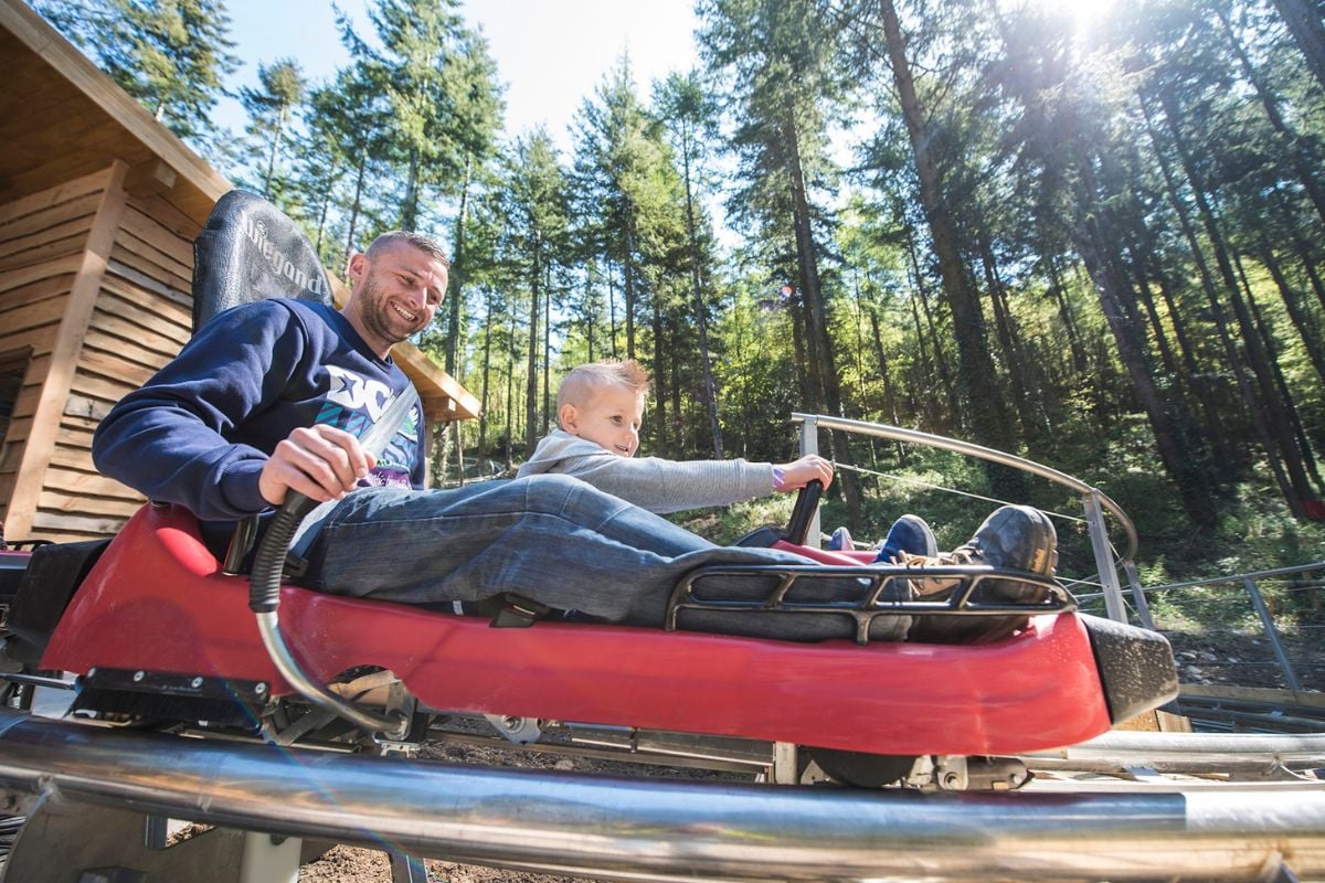 Zip World FForest Coaster