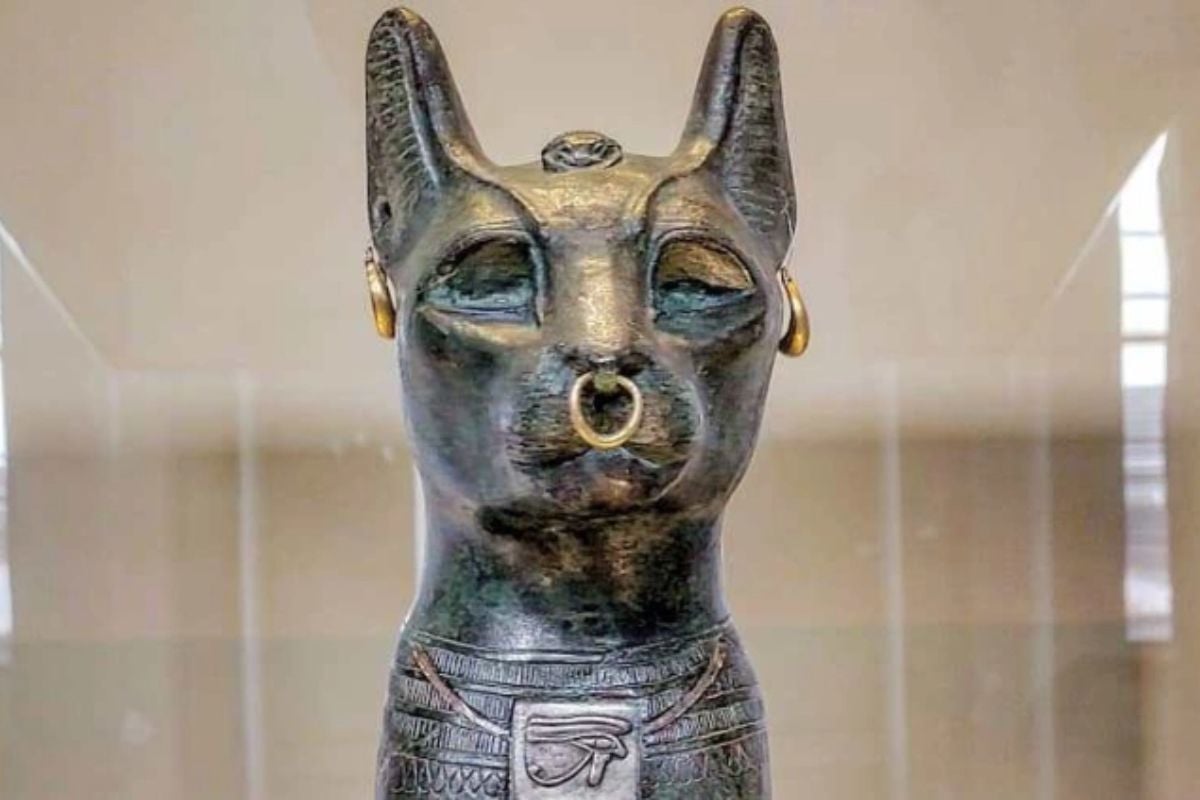 Full Day Archaeology Experience at The British Museum