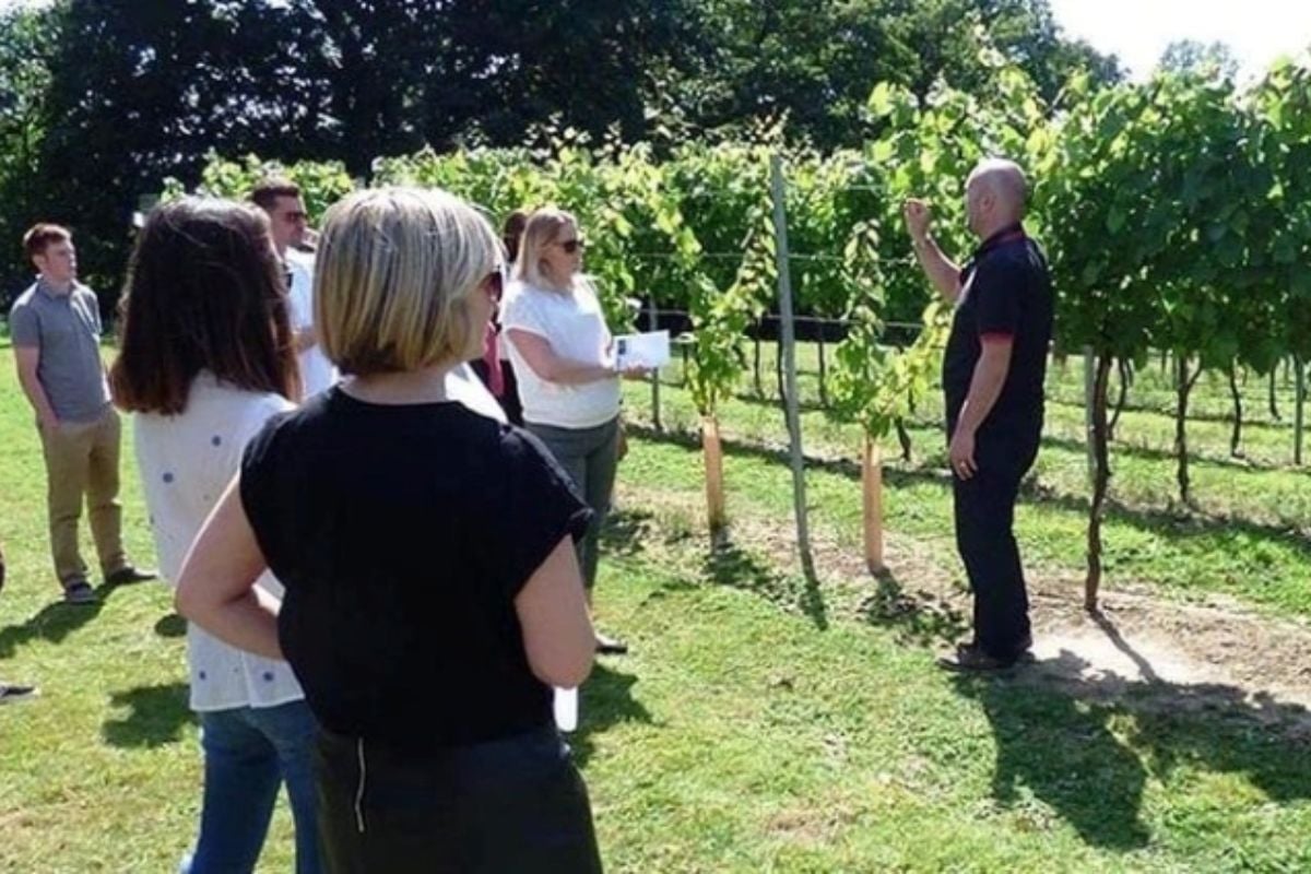 Full Day English Wine And Cheese Tour