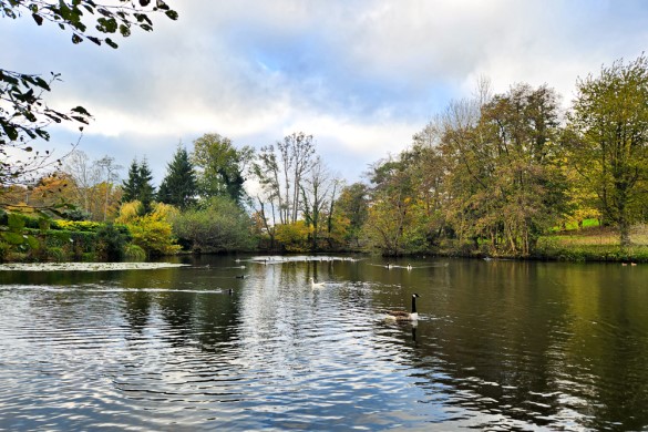 Full Day Fly Fishing - Surrey