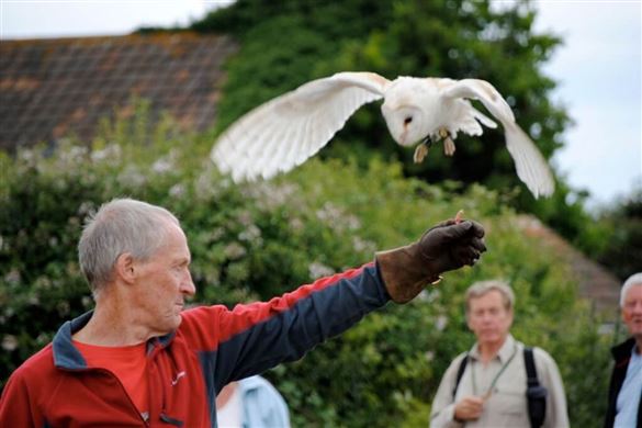 Birds Of Prey Full Day For One