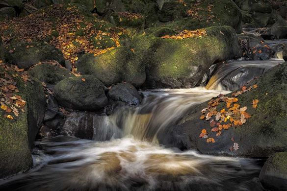 Full Day Peak District Photography Workshop