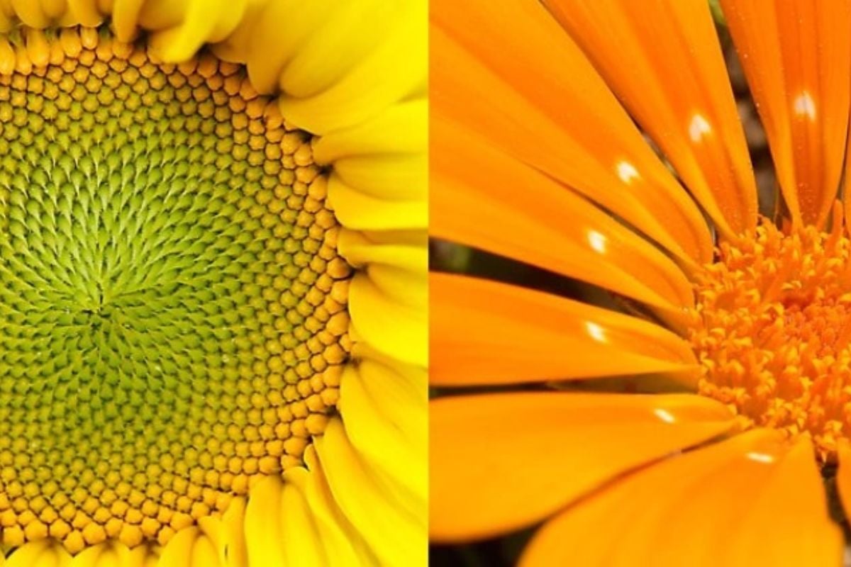 Full Day Private Flash Photography Course in Worcester