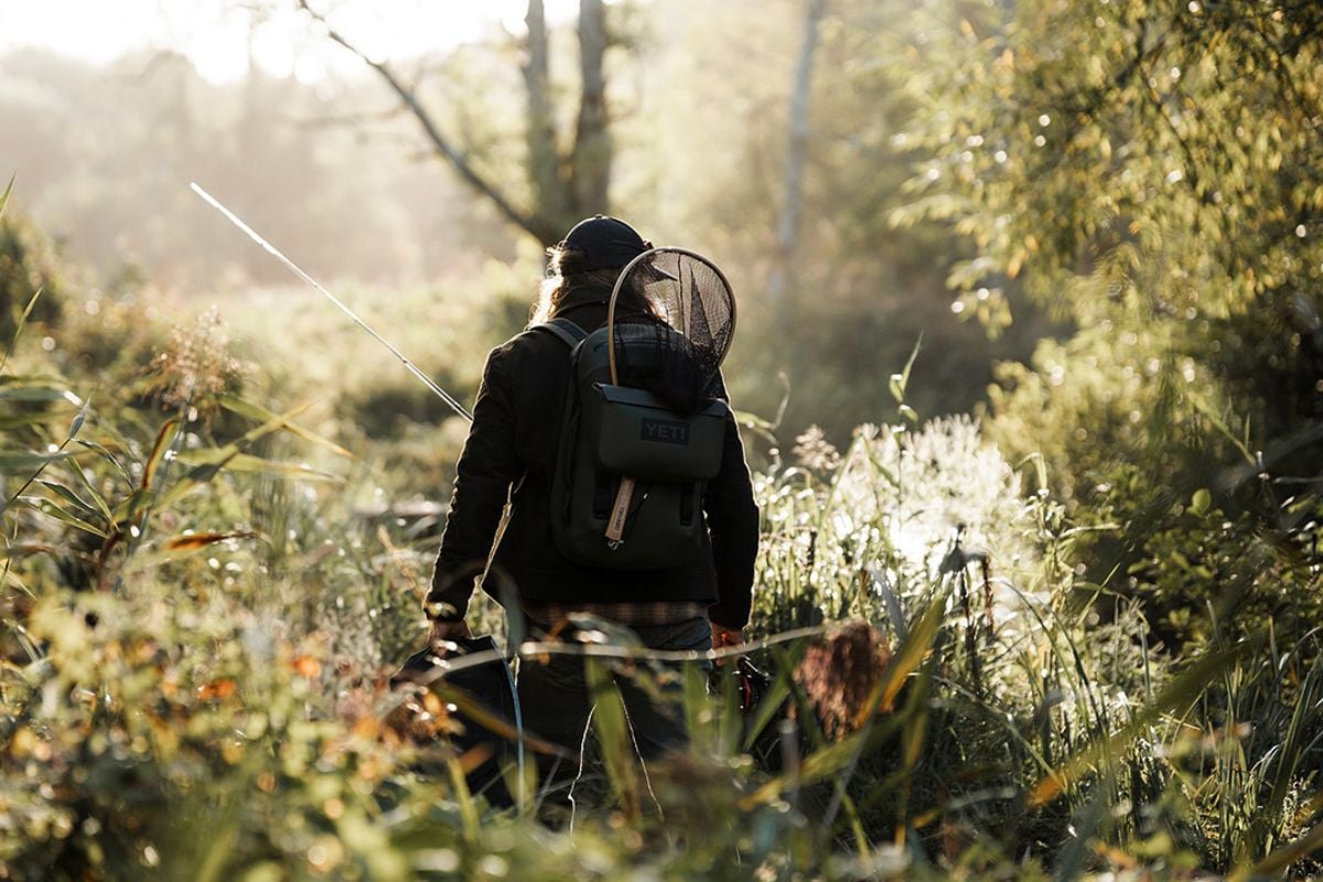Full Day Private Fly Fishing Experience in Wiltshire