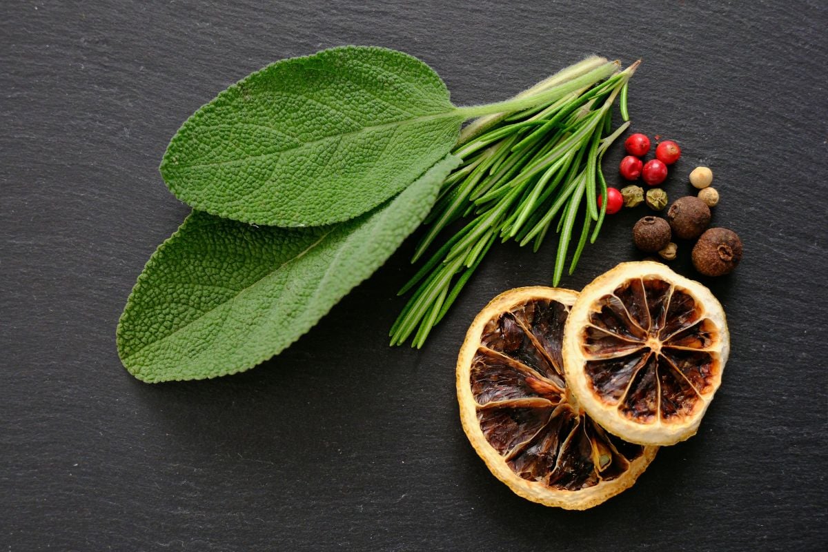 Gin Tasting Experience in Newcastle