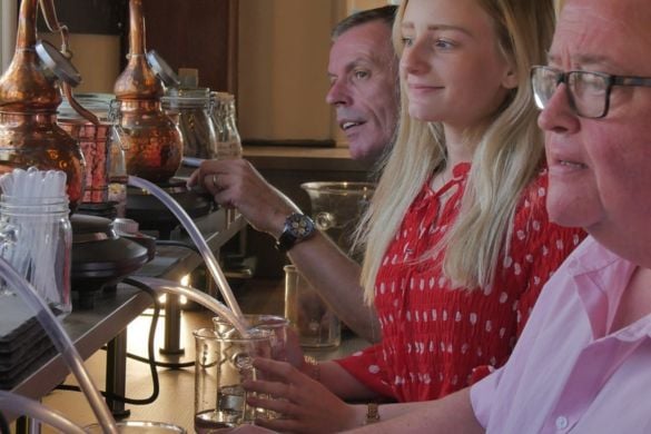 Gin Tasting Masterclass for Two in Staffordshire