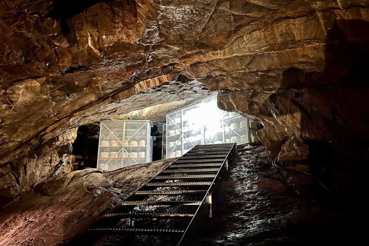Glastonbury & Cheddar Gorge Day Tour from London