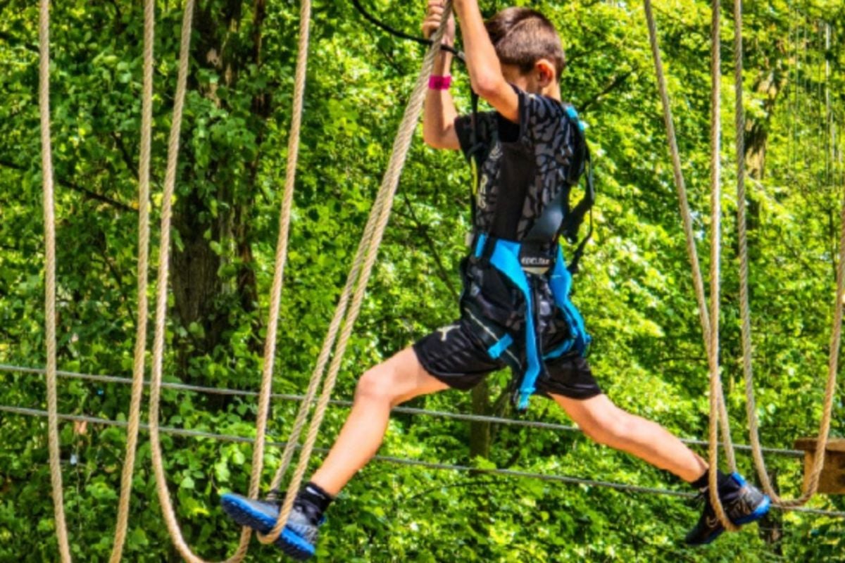 Go Ape Treetop Challenge for Four (Ages 10+)