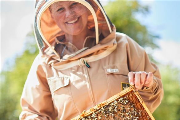 Group Beekeeping Experience - Norfolk