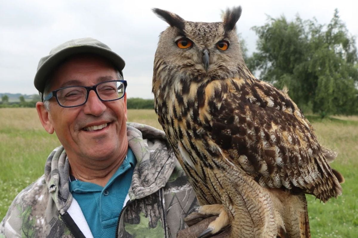 Half Day Bird of Prey Experience in Milton Keynes