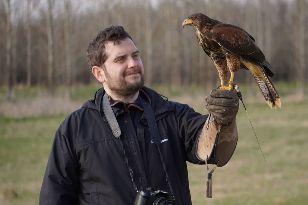 Half Day Bird of Prey Experience in Milton Keynes